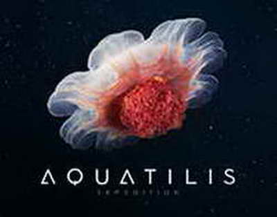 Telegram bloklansa migrantlar qanday qilib aloqada qolishlari mumkin?